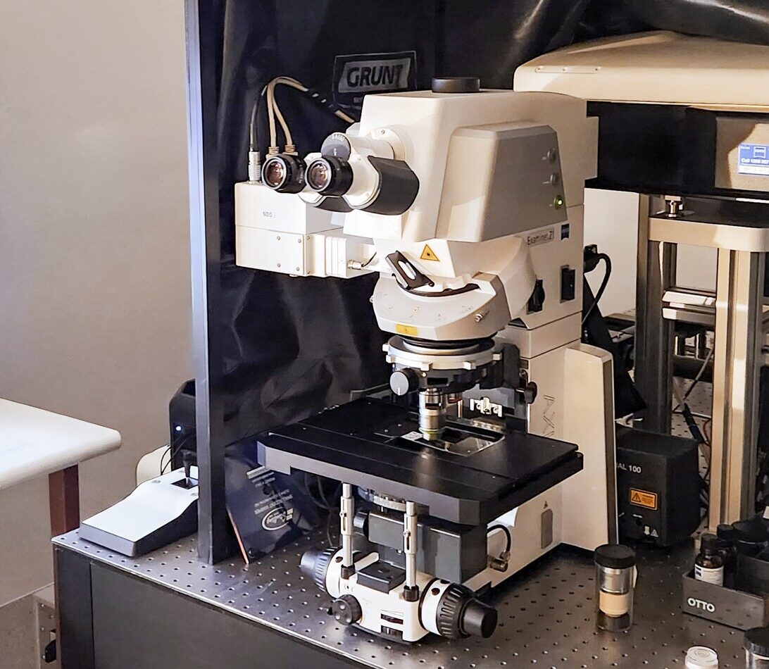 Zeiss LSM 980 Confocal Microscope at TRI