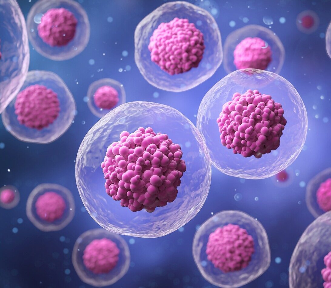 3D rendering of microscopic embyo stem cells